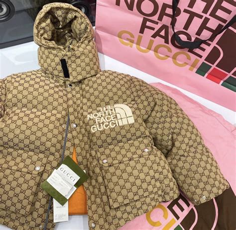 the north face x gucci winterjacke|tnf Gucci jacket.